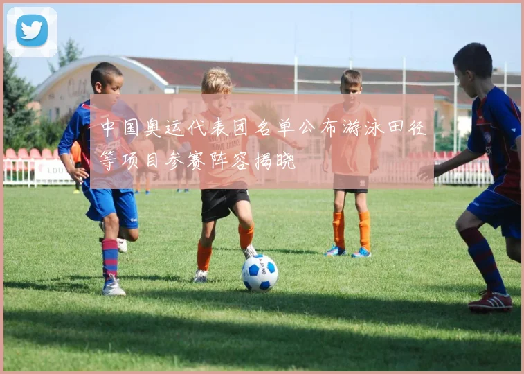 中国奥运代表团名单公布游泳田径等项目参赛阵容揭晓