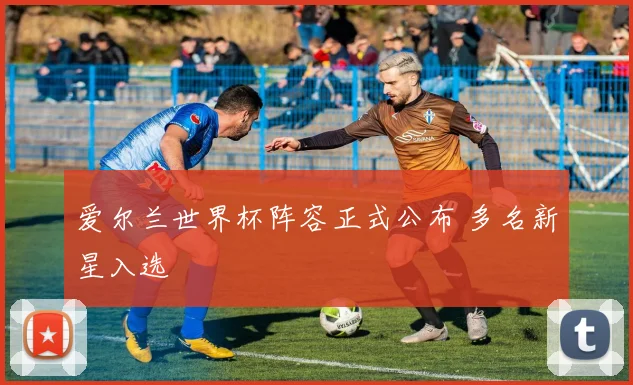 爱尔兰世界杯阵容正式公布 多名新星入选