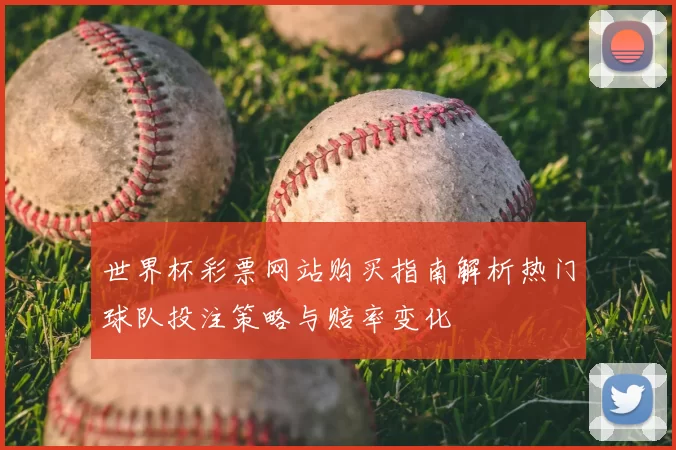 世界杯彩票网站购买指南解析热门球队投注策略与赔率变化