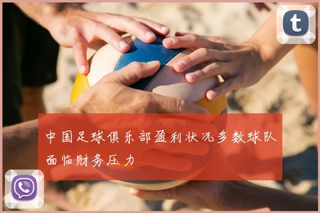中国足球俱乐部盈利状况多数球队面临财务压力
