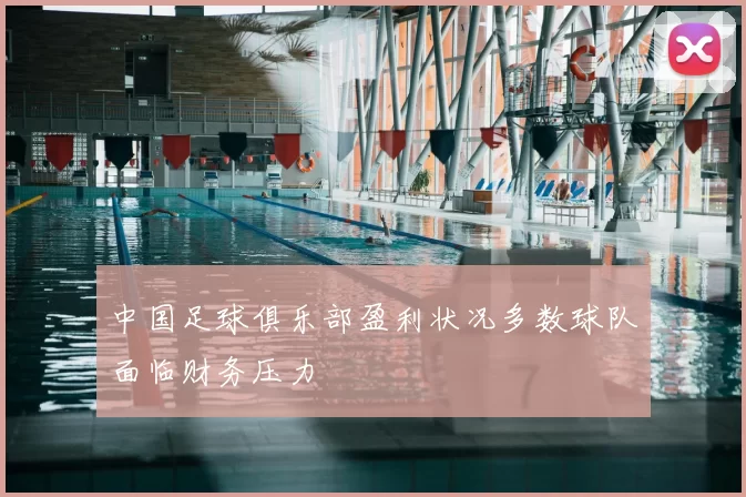 中国足球俱乐部盈利状况多数球队面临财务压力