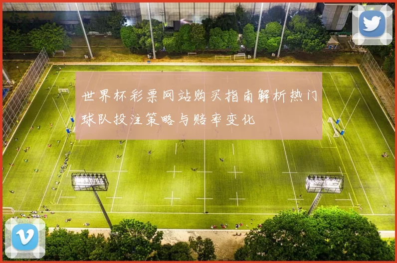 世界杯彩票网站购买指南解析热门球队投注策略与赔率变化